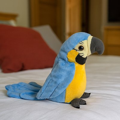 Peluche Perroquet interactive | Éveil Éducatif - Mon Premier Jouet